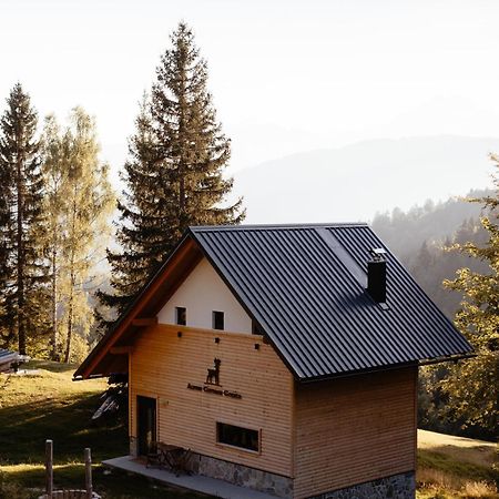 Alpine Cottage Golica ゴレンスカ地方 エクステリア 写真