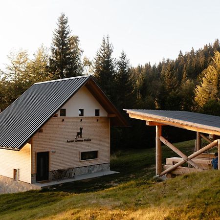 Alpine Cottage Golica ゴレンスカ地方 エクステリア 写真