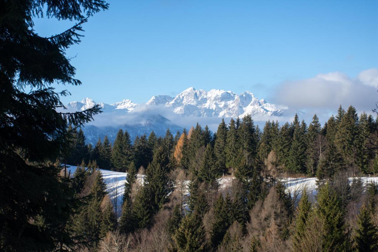 Alpine Cottage Golica ゴレンスカ地方 エクステリア 写真