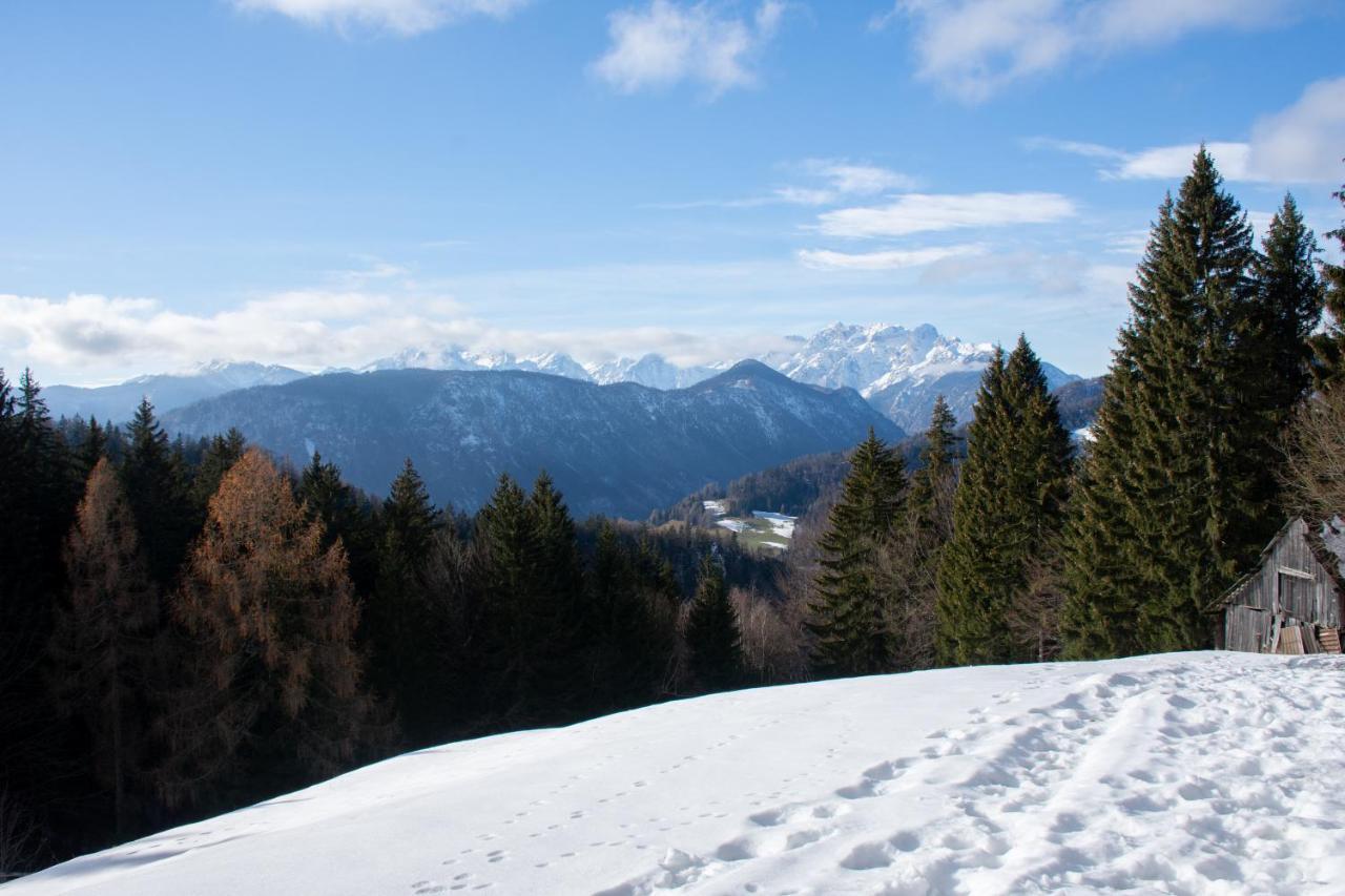 Alpine Cottage Golica ゴレンスカ地方 エクステリア 写真