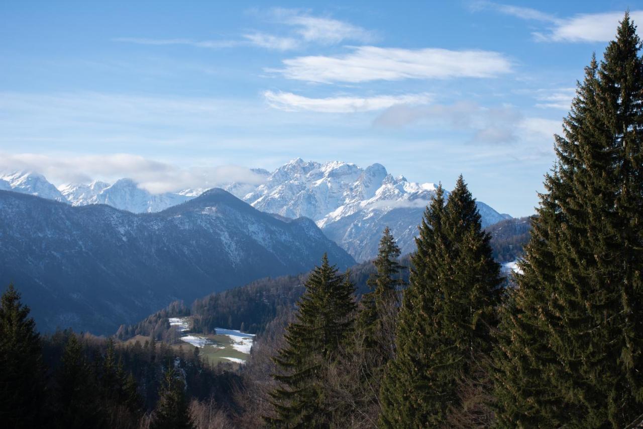 Alpine Cottage Golica ゴレンスカ地方 エクステリア 写真