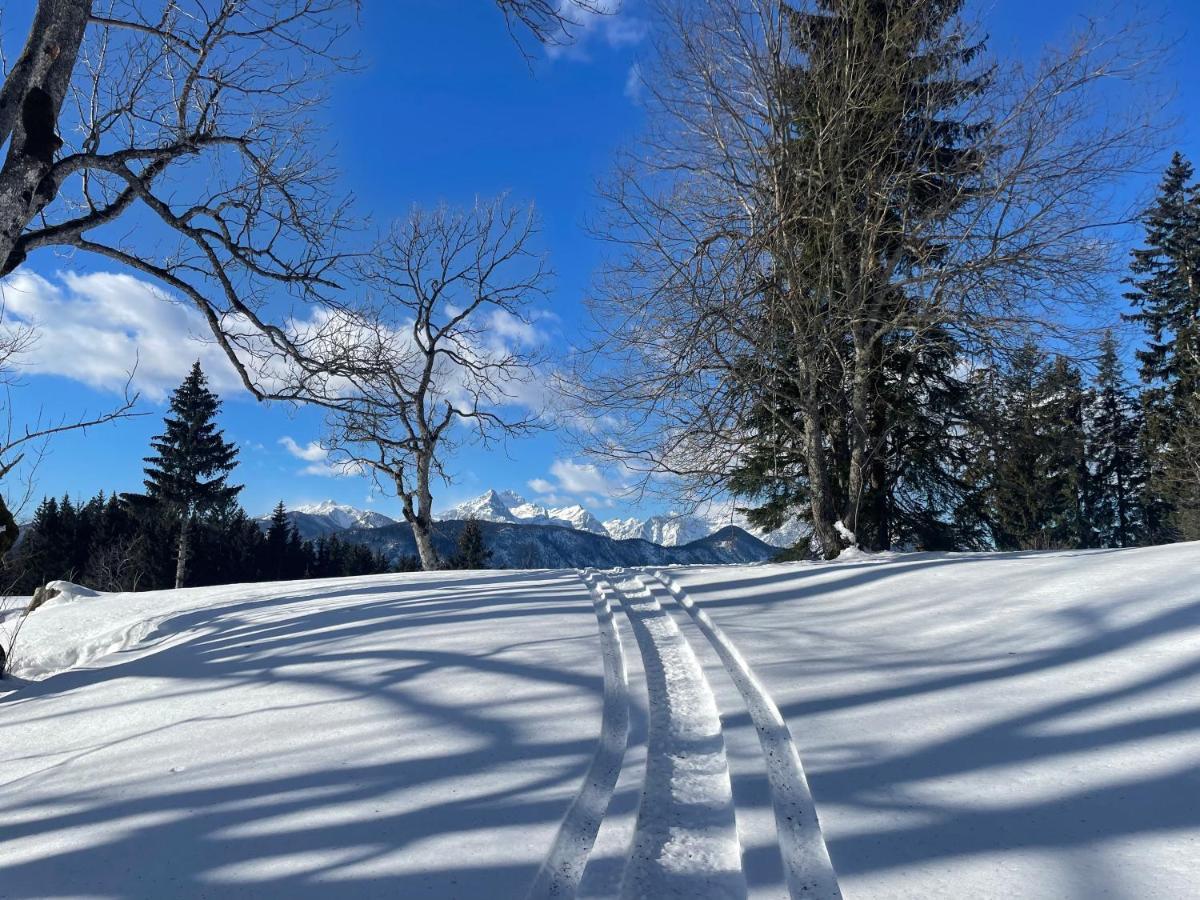 Alpine Cottage Golica ゴレンスカ地方 エクステリア 写真