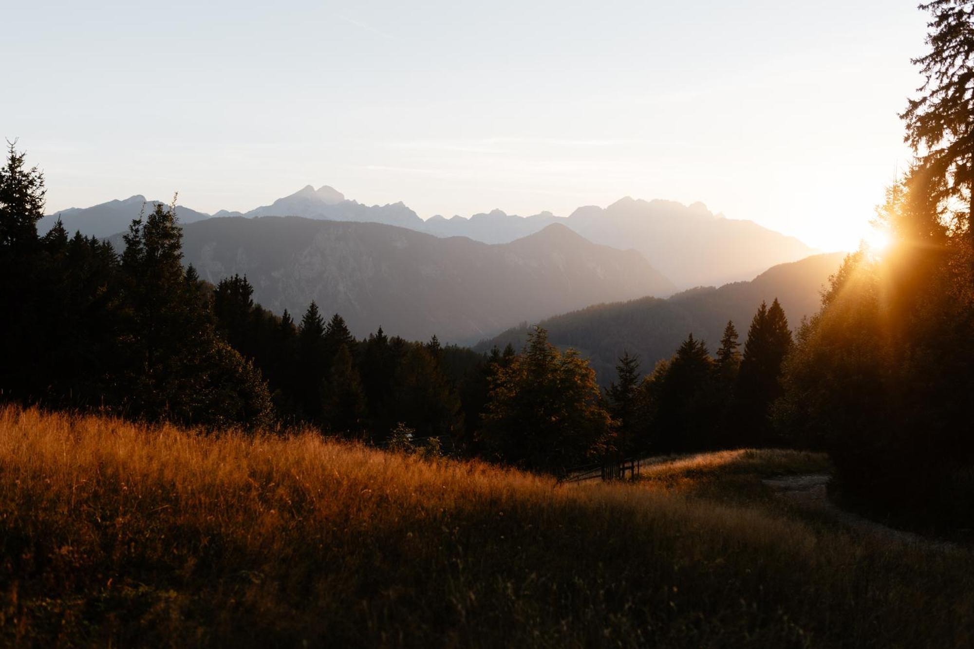 Alpine Cottage Golica ゴレンスカ地方 エクステリア 写真